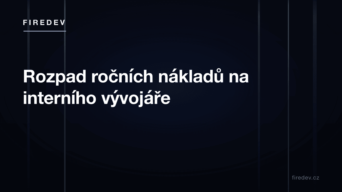 Rozpad ročních nákladů na interního vývojáře